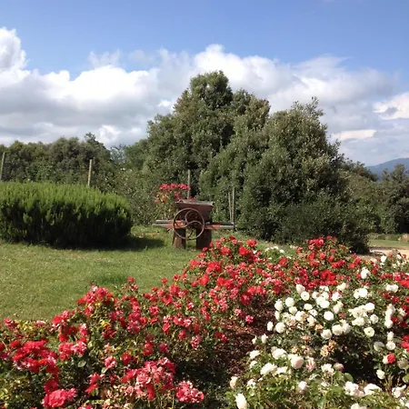 Farm stay Donzellino *