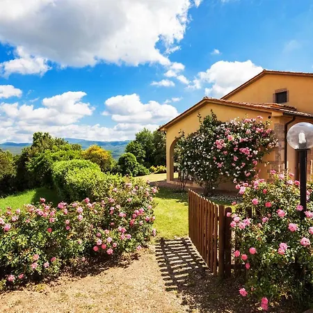 Donzellino * Massa Marittima