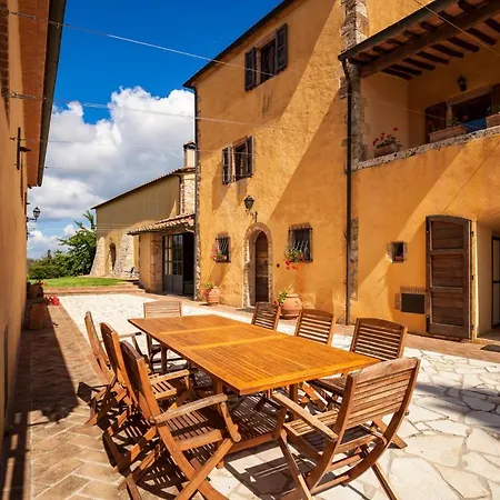 Donzellino * Massa Marittima