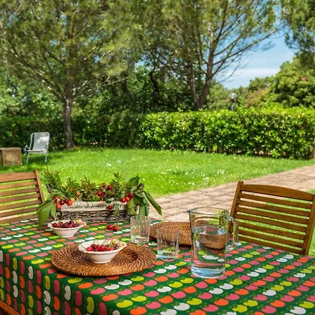 Farm stay Donzellino Massa Marittima