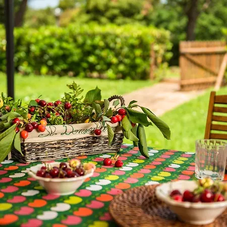 Farm stay Donzellino